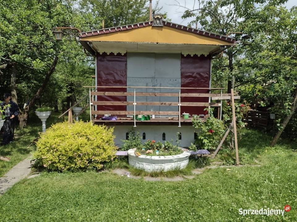 Na sprzedaż 2 połączone działki w ROD Narcyz 600m2