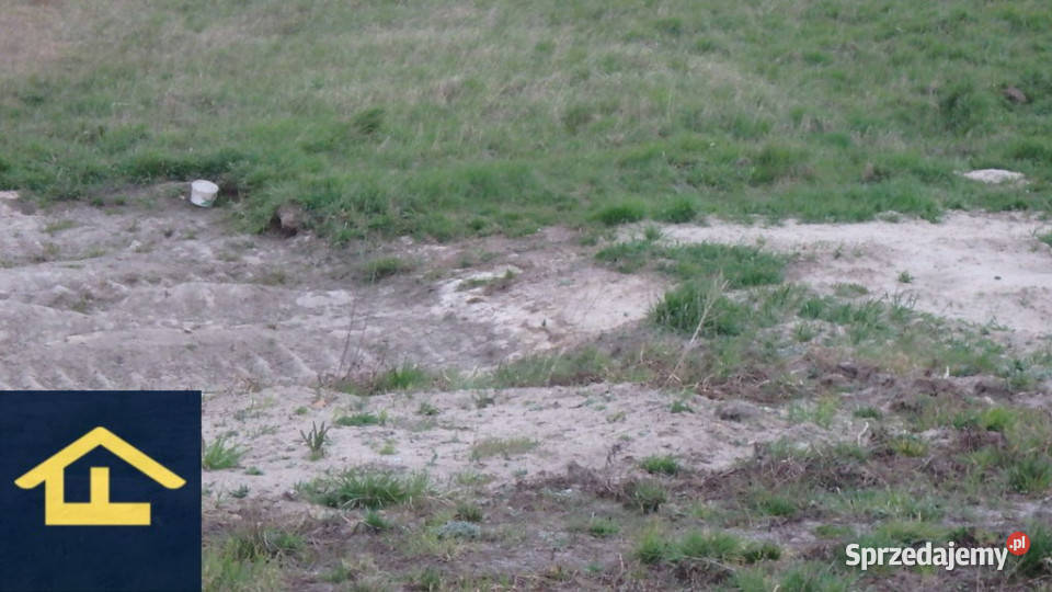 Działka w Gadce gmina Kołbiel Sprzedaż Gadka