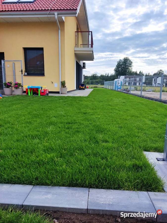 Automatyczne nawodnienia prace ogrodowe