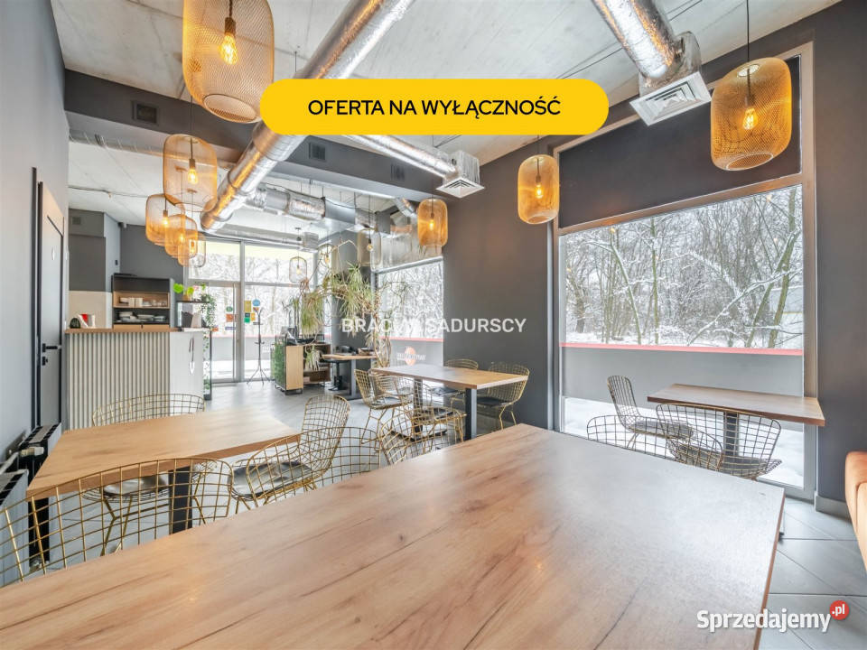 wynajmu lokalu Kraków Borkowska 75m2 małopolskie