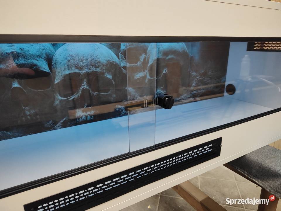 Terrarium LED pyton siatkowy teju agama gekon śląskie Siemianowice Śląskie