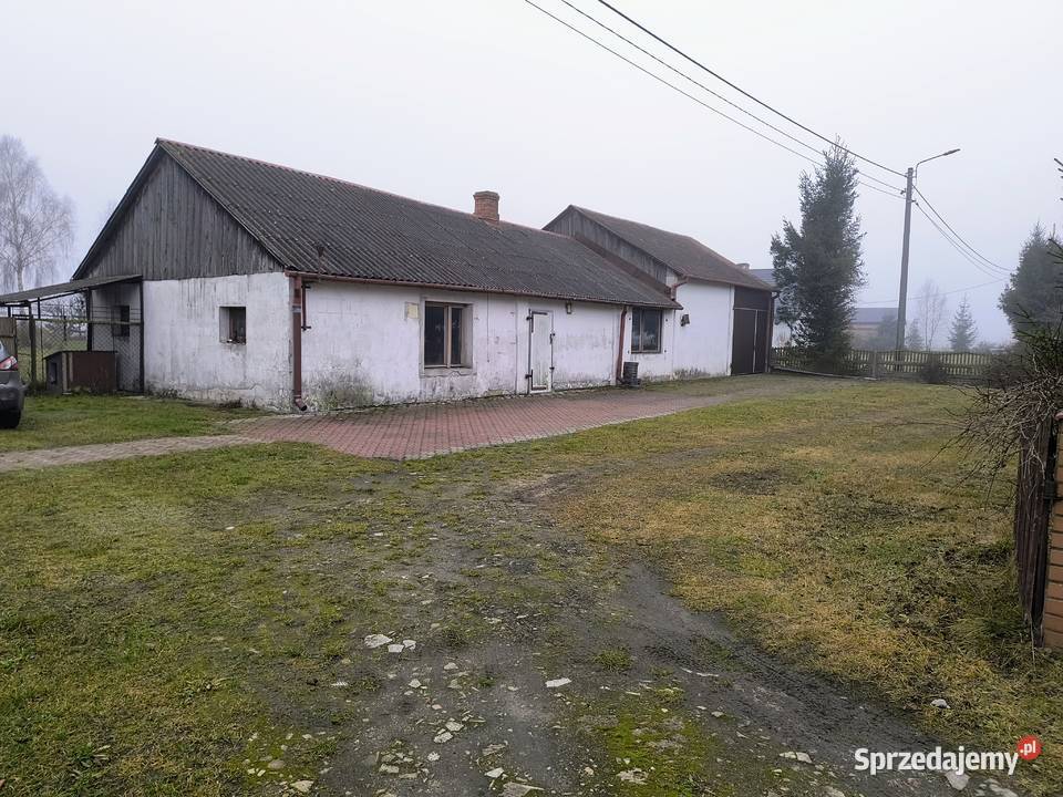 Dom z dużą działką i zabudowaniami gospodarczymi Sprzedaż Zaświatycze