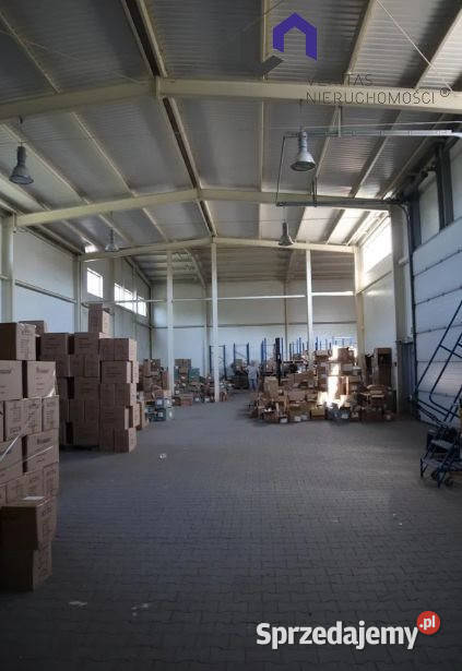 Lokal 900m2 Katowice śląskie