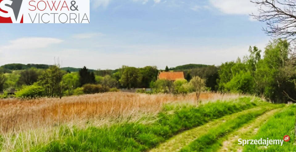 Skrajna działka pod lasem budowlana