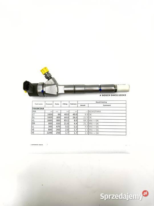 Wtryskiwacz Regenerowany Wtrysk Opel Fiat Słubice