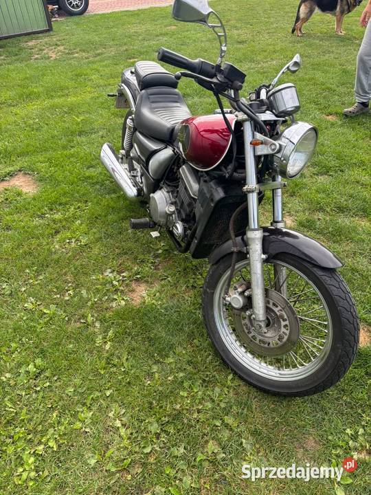 Kawasaki EL 250 Eliminator 250cm3 Brzeźnica