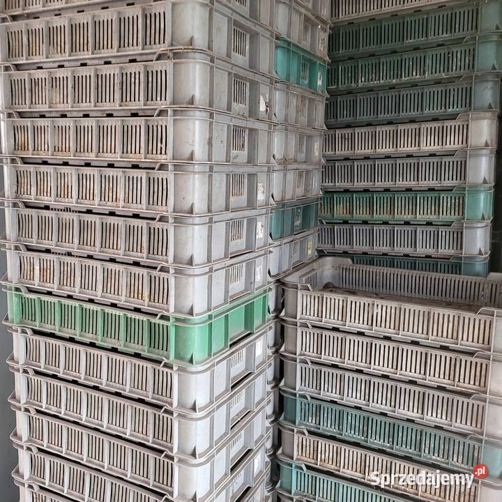 Sprzedam skrzynki Łęczyca