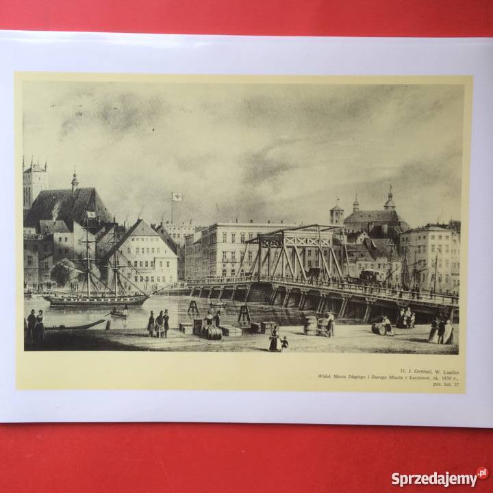 890 Grafika i Rysunki Szczecina Antykwariat Szczecin