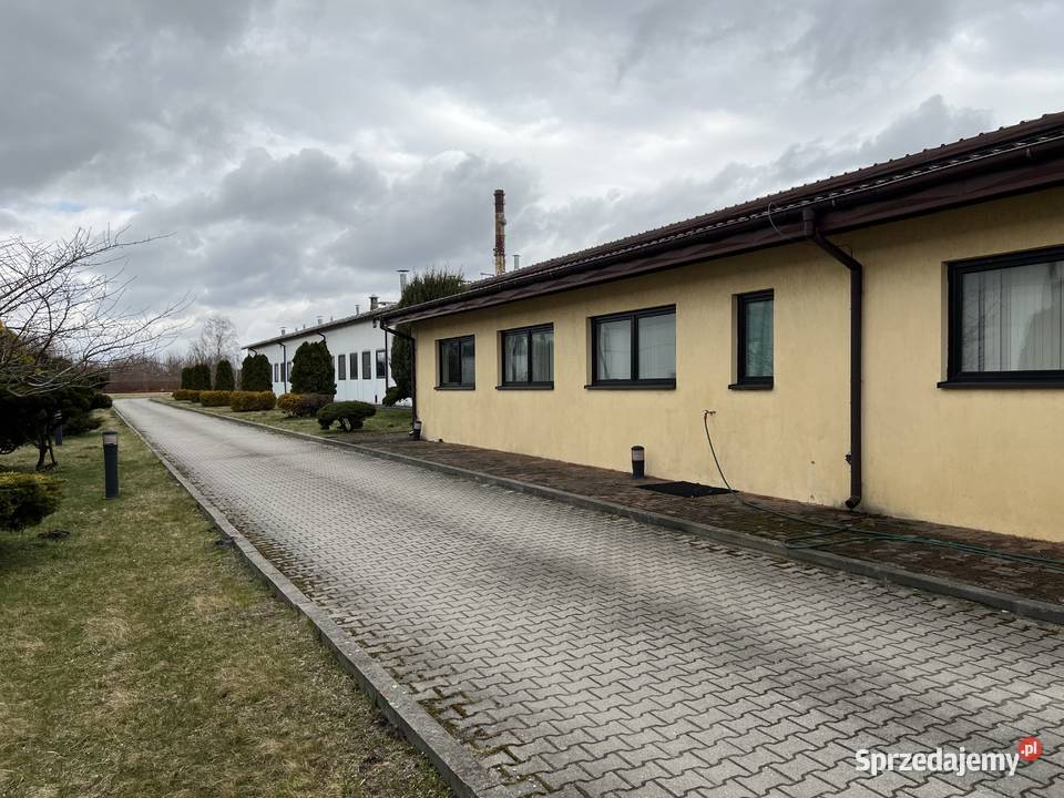 sprzedam nieruchomość Zduńska Wola