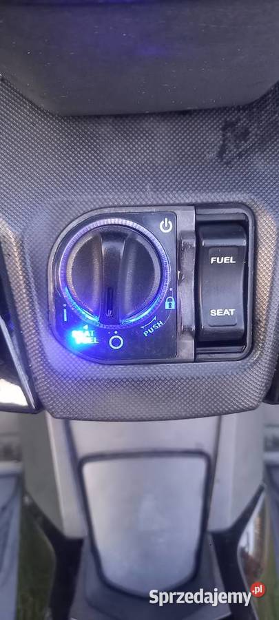 Sprzedam wielkopolskie Turek