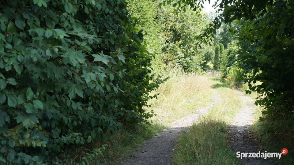 Działka gruntowa w Otwocku Wielkim pałacem Otwock Wielki