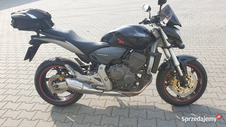 Honda hornet cb600f lubuskie Sulechów sprzedam