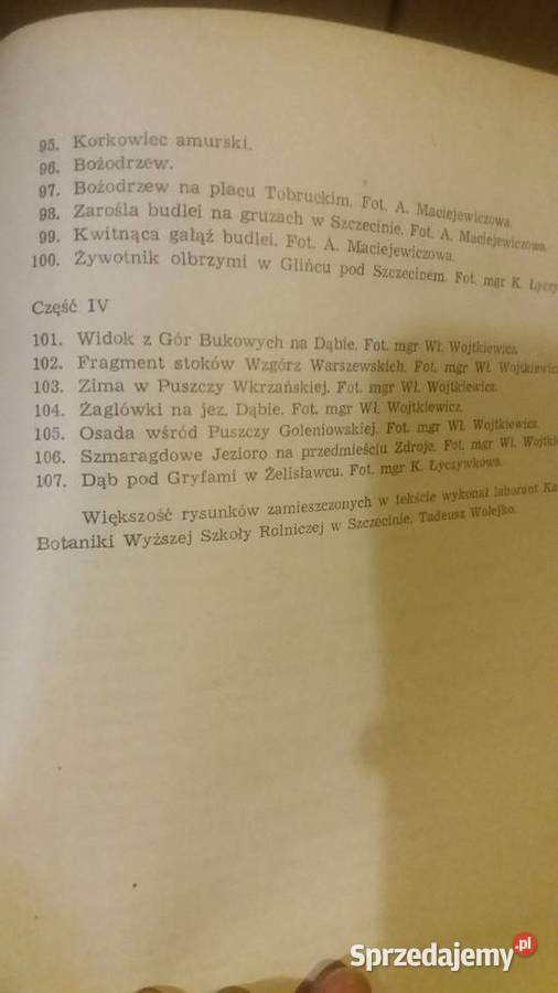 Szczecin miasto parków i zieleni Czesław Antykwariat