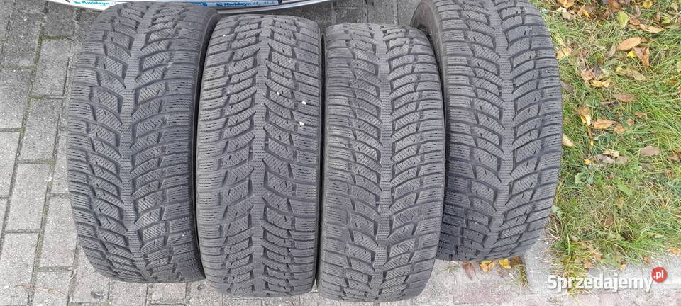 komplet opon zimowych Autogreen Snow Chaser 2 225 Kwidzyn