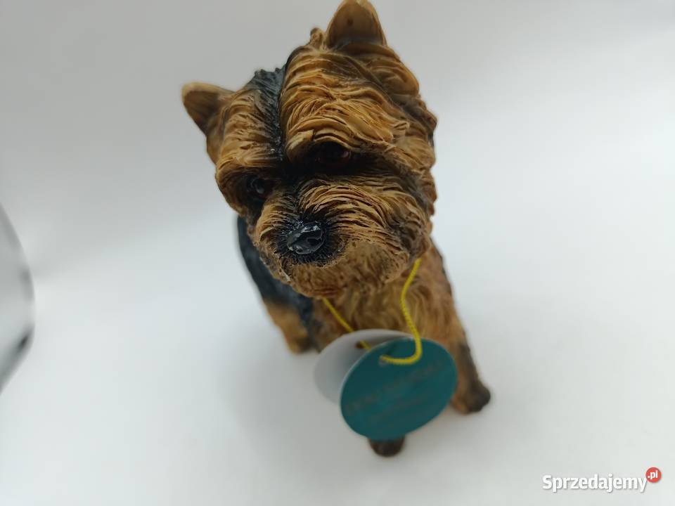 Figurka pies Yorkshire LEONARDO Dog studies Pozostałe lubelskie Zamość