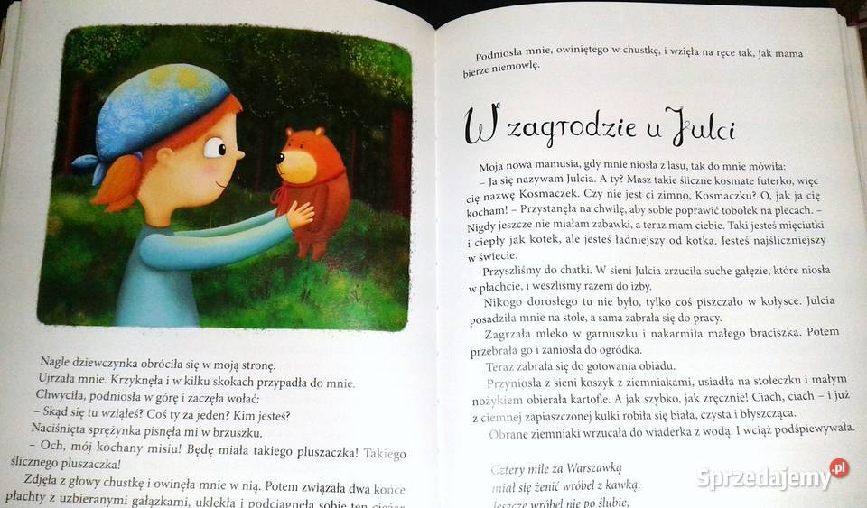 Pamiętnik Czarnego Noska Janina Porazińska Chełm