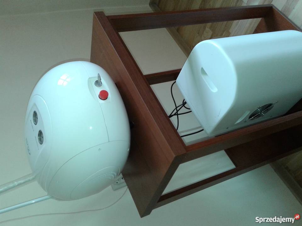 Oxybrazja Baylla Kalisz