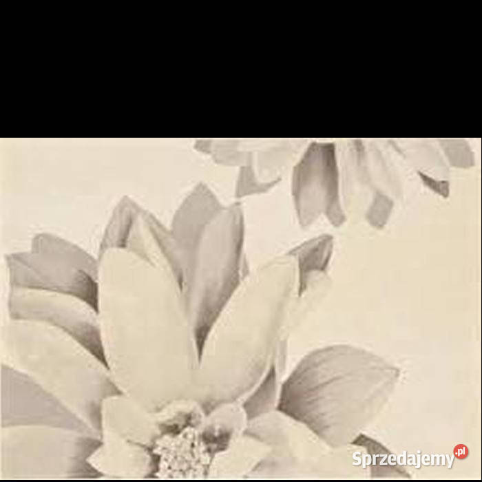 Dekor Imeria white bianco Inserto 25 x 35 Białogard