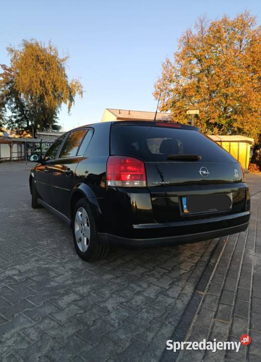 Opel Signum 22 dti Włodawa