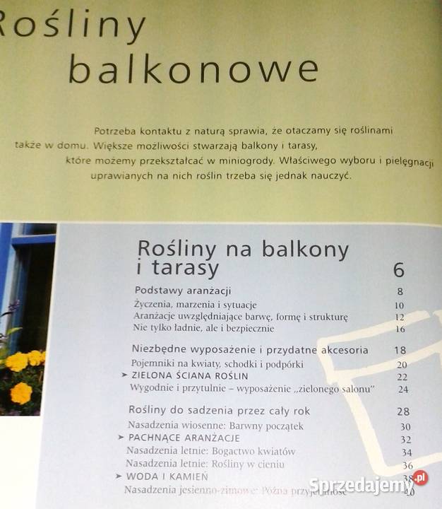Rośliny balkonowe Joachim Mayer lubelskie Chełm