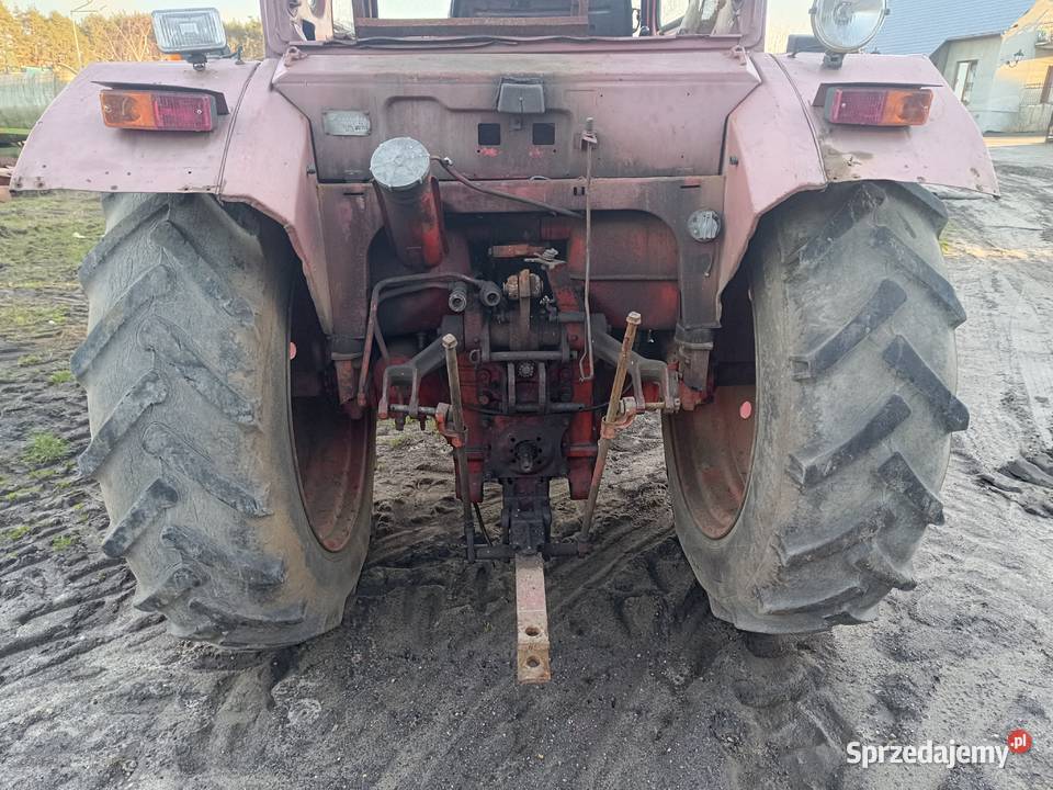 Sprzedam ciągnik rolniczy MTZ82 1986 23000 Skrzynia biegów Manualna wielkopolskie Włoszakowice