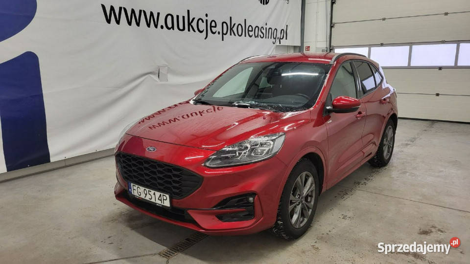 Ford Kuga 25 FHEV FWD STLine X III 2019 Grójec sprzedam