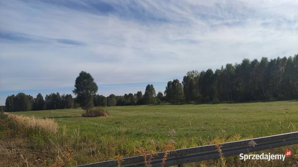Wydźierżawie teren inwestycyjny Rudnik Wielki sprzedam