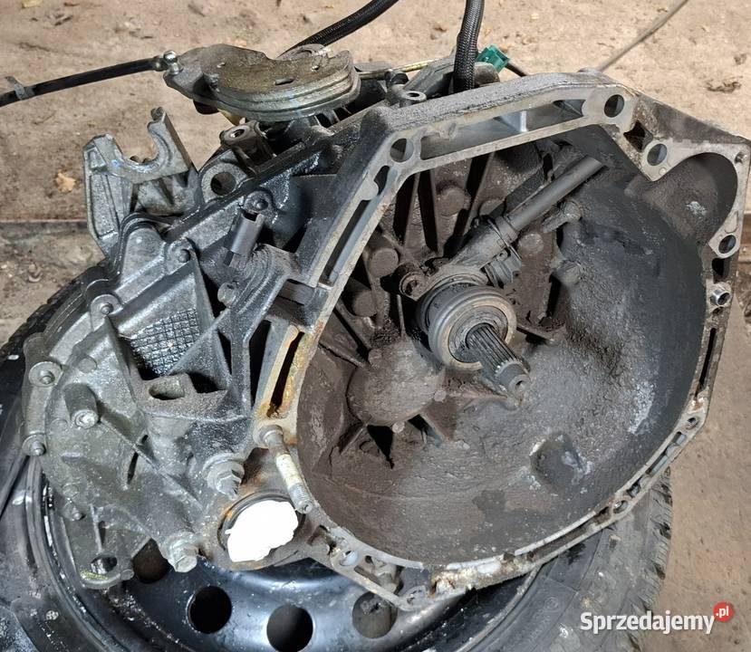 Skrzynia biegów TL4A 000 manualna renault Scenic Skrzynie biegów manualne Hańsk-Kolonia
