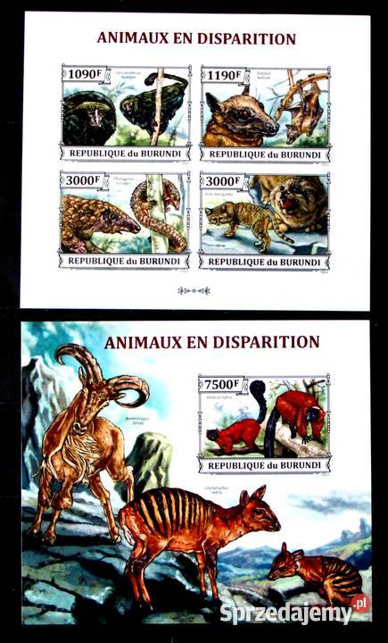 Burundi 33083311 94 jpg