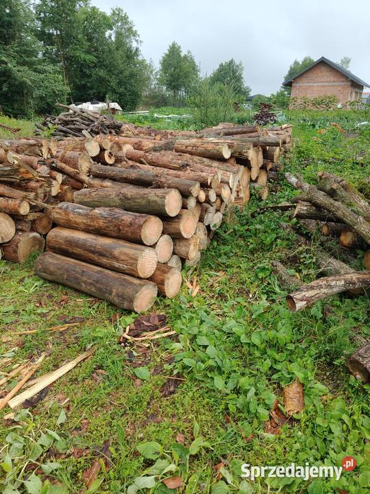 Drewno opałowe sosna Ostrów