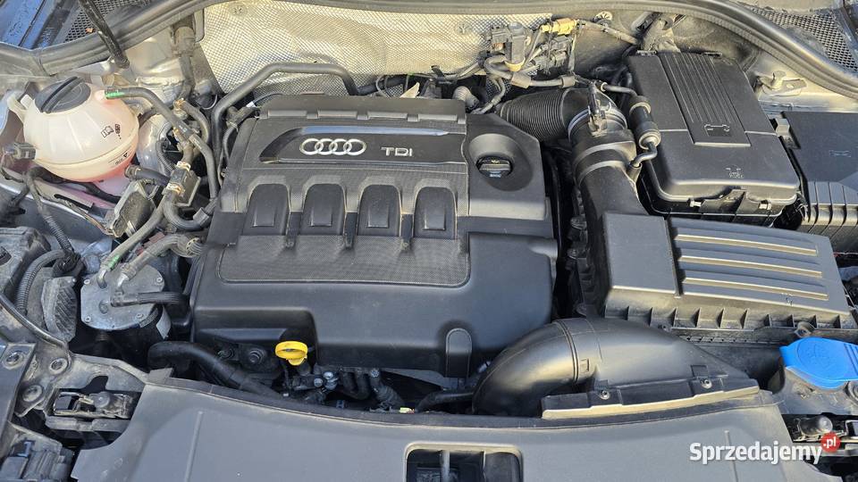 Audi Q3 QUATRO 20 TDI BLUEMOTION Sobótka