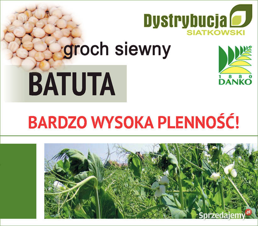 Kwalifikowane nasiona siewne groch BATUTA C1 Strubno