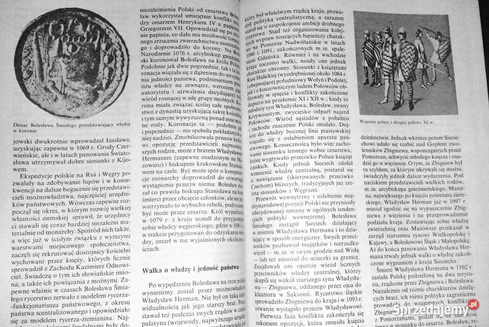 Historia Polski do roku 1975 Henryk Samsonowicz Pozostałe Chełm