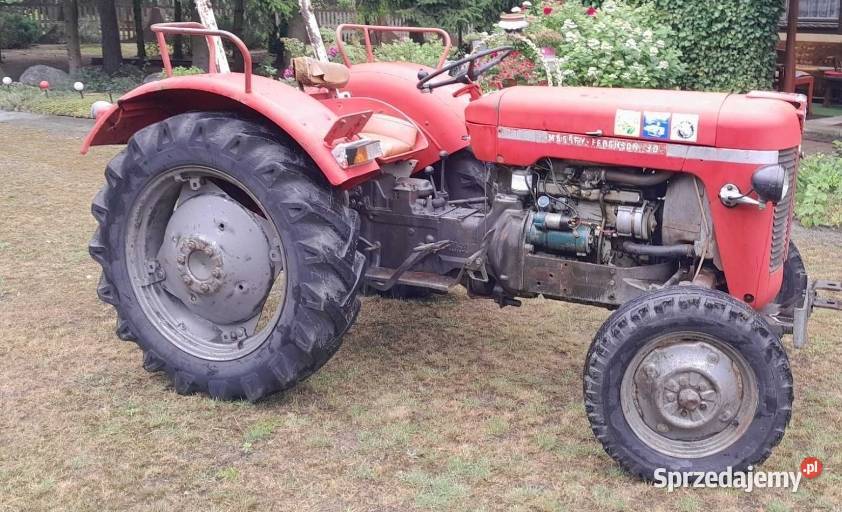 Traktor Massey Ferguson MF30 Myślibórz