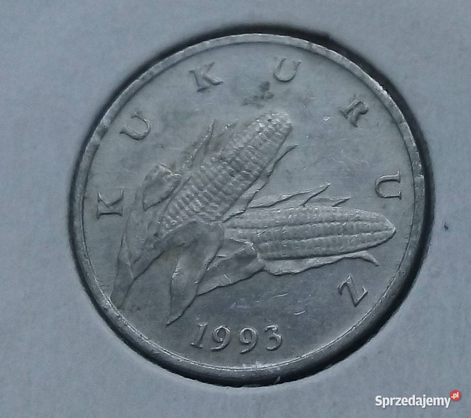 CHORWACJA1 LIPA1993 rALKUKURYDZA mazowieckie Legionowo