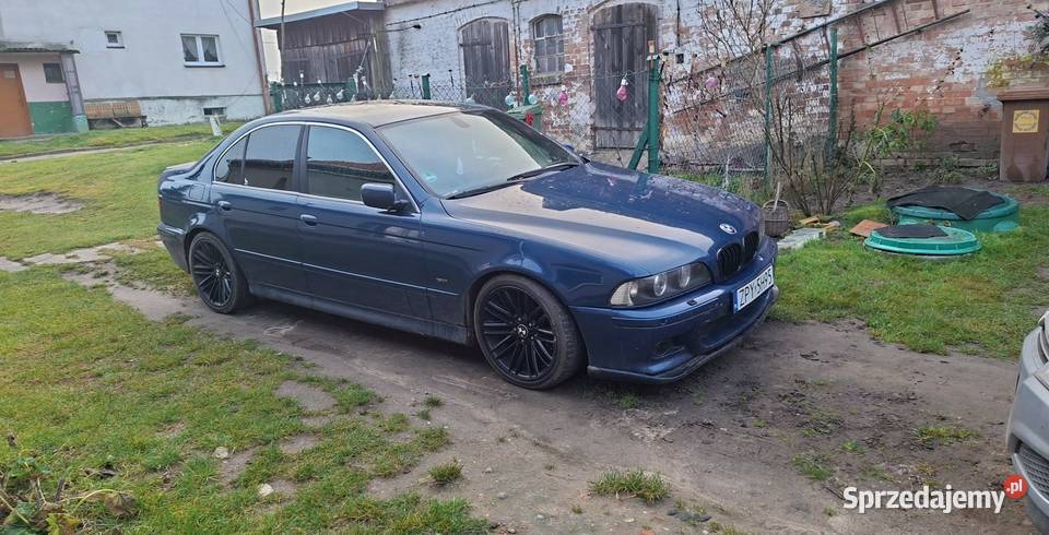 Bmw e39 530i M54b30 benzyna Czerników