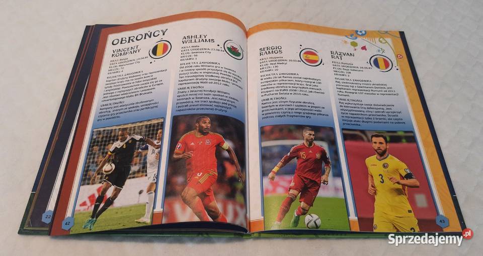 Niezbędnik kibica UEFA Euro 2016 Francja śląskie Czeladź