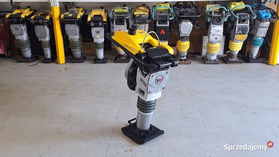 Skoczek Stopa WACKER NEUSON BS 502 Plus 11in Trzebnica