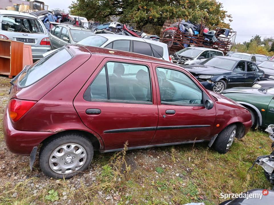 Ford Fiesta 12 55 kW 1998 r dawca części Samochody na części Szklarka Myślniewska sprzedam