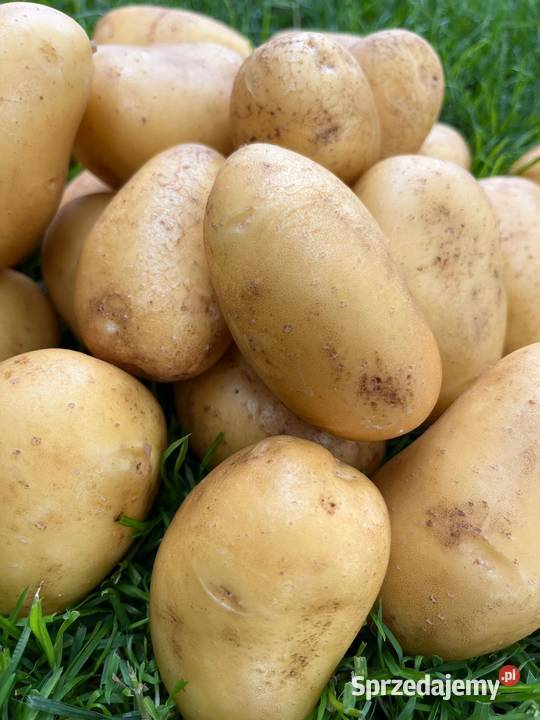 Ziemniaki Soraya