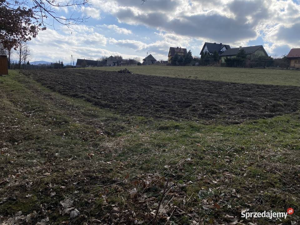 Działki budowlane z dojazdem 91043ary Pogorzany