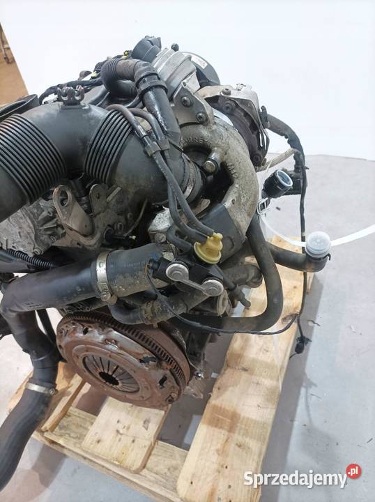 SILNIK KOMPLETNY DIESEL 16 TDI CAY Skoda Superb Rok produkcji 2012 Silniki i osprzęt sprzedam
