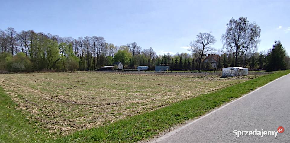 Sprzedam działkę 29 ar w Anielinie 53zł/m2