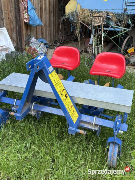 Sadzarka do warzyw Wodzisław