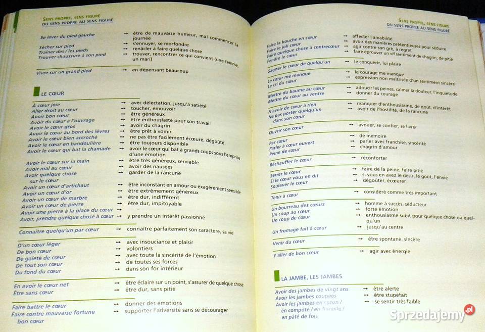 Vocabulaire Le Robert Nathan lubelskie Chełm