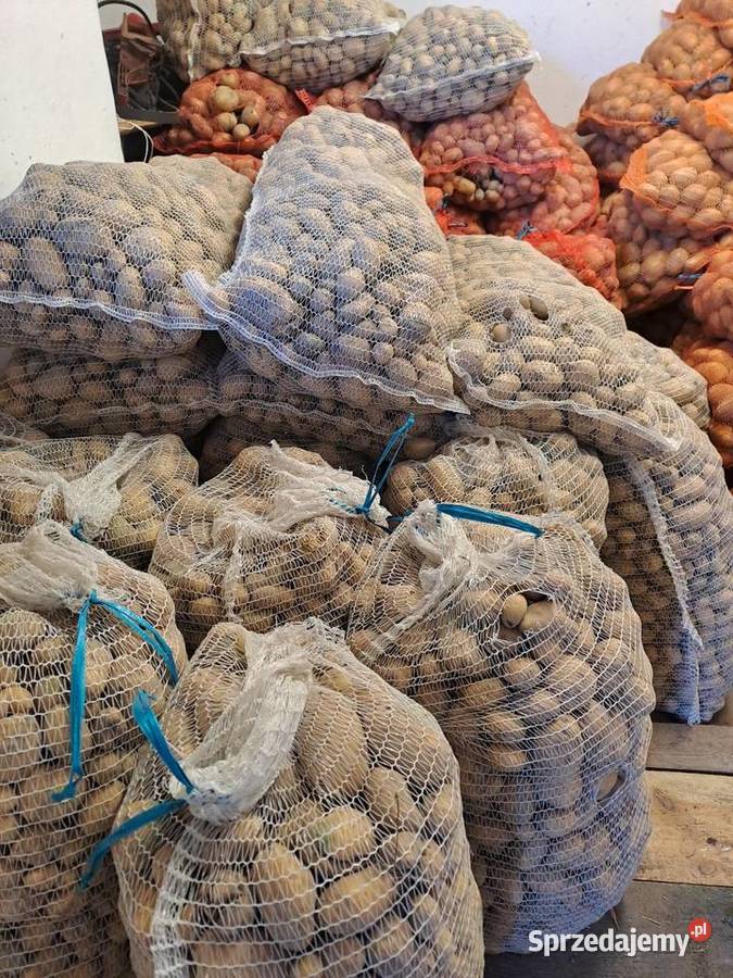 Ziemniaki paszowe 40gr Biała Podlaska