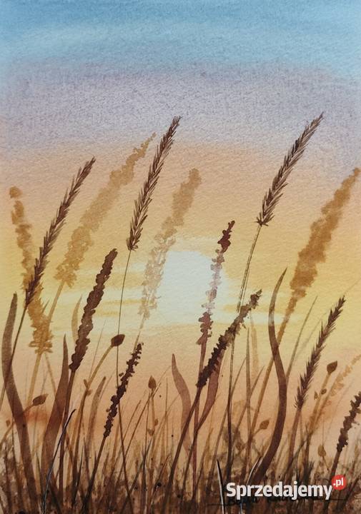 Oryginalna Akwarela Łąka 3 Unikat Sygnowany Malarstwo Poznań