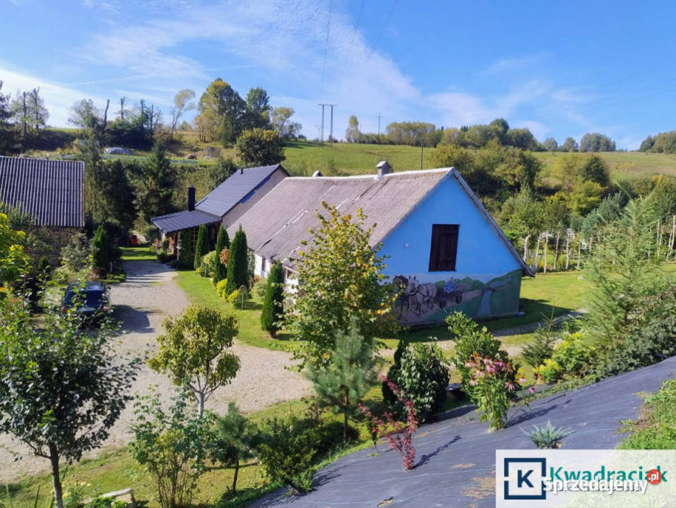 Lokal 330m2 Brzegi Dolne