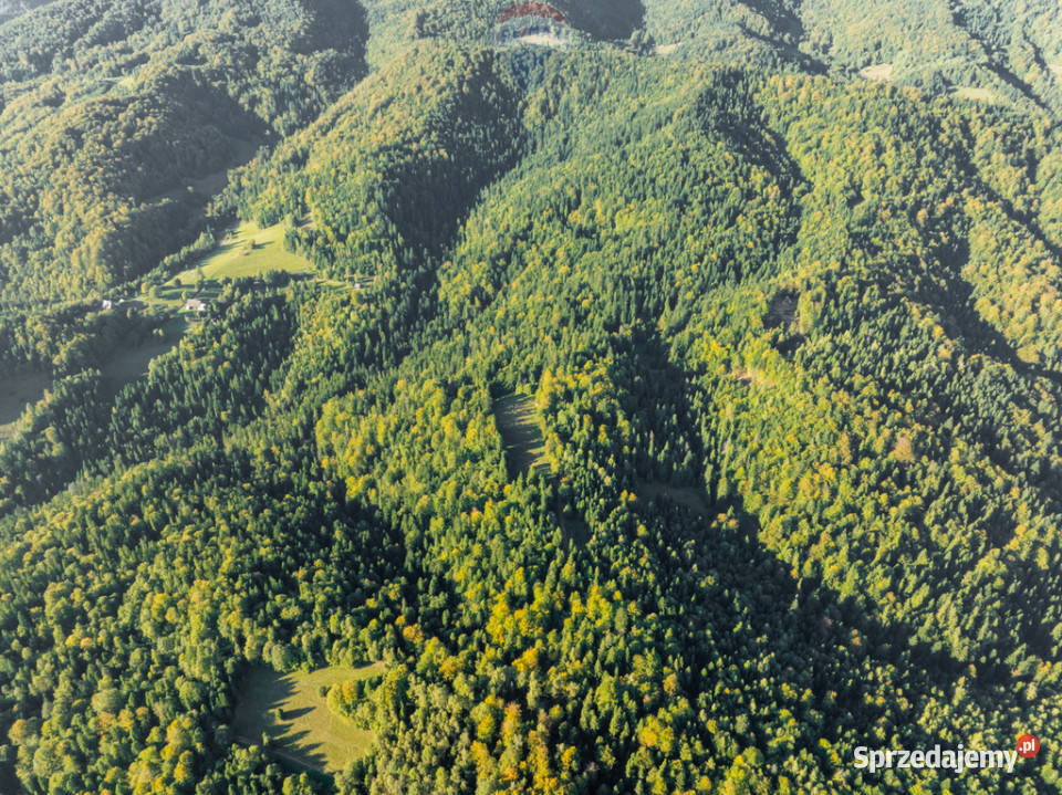 Polana w lesie Harklowa sprzedam