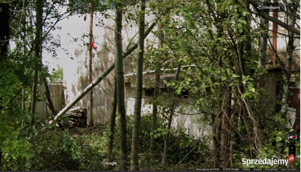 Drewno opałowe liściaste Żarów